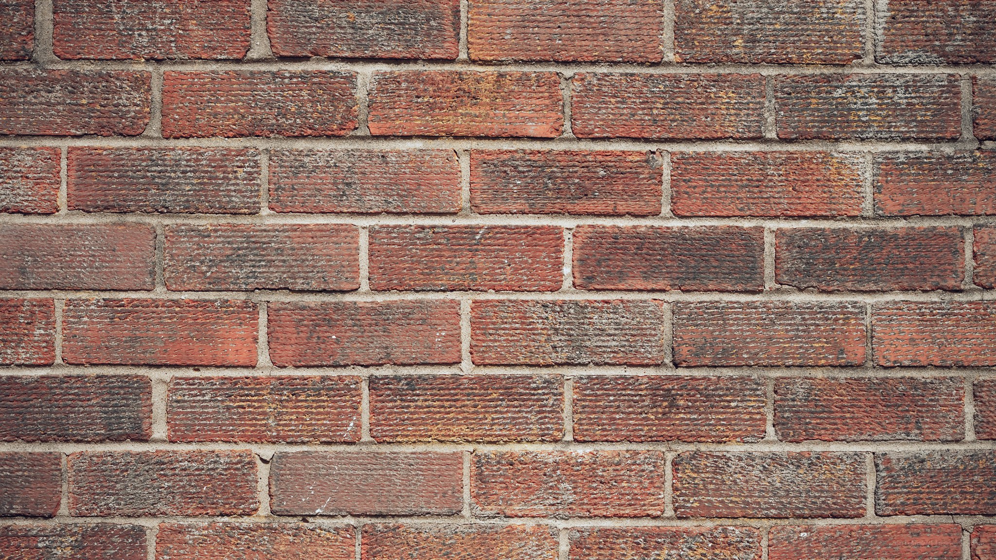 red brick wall texture