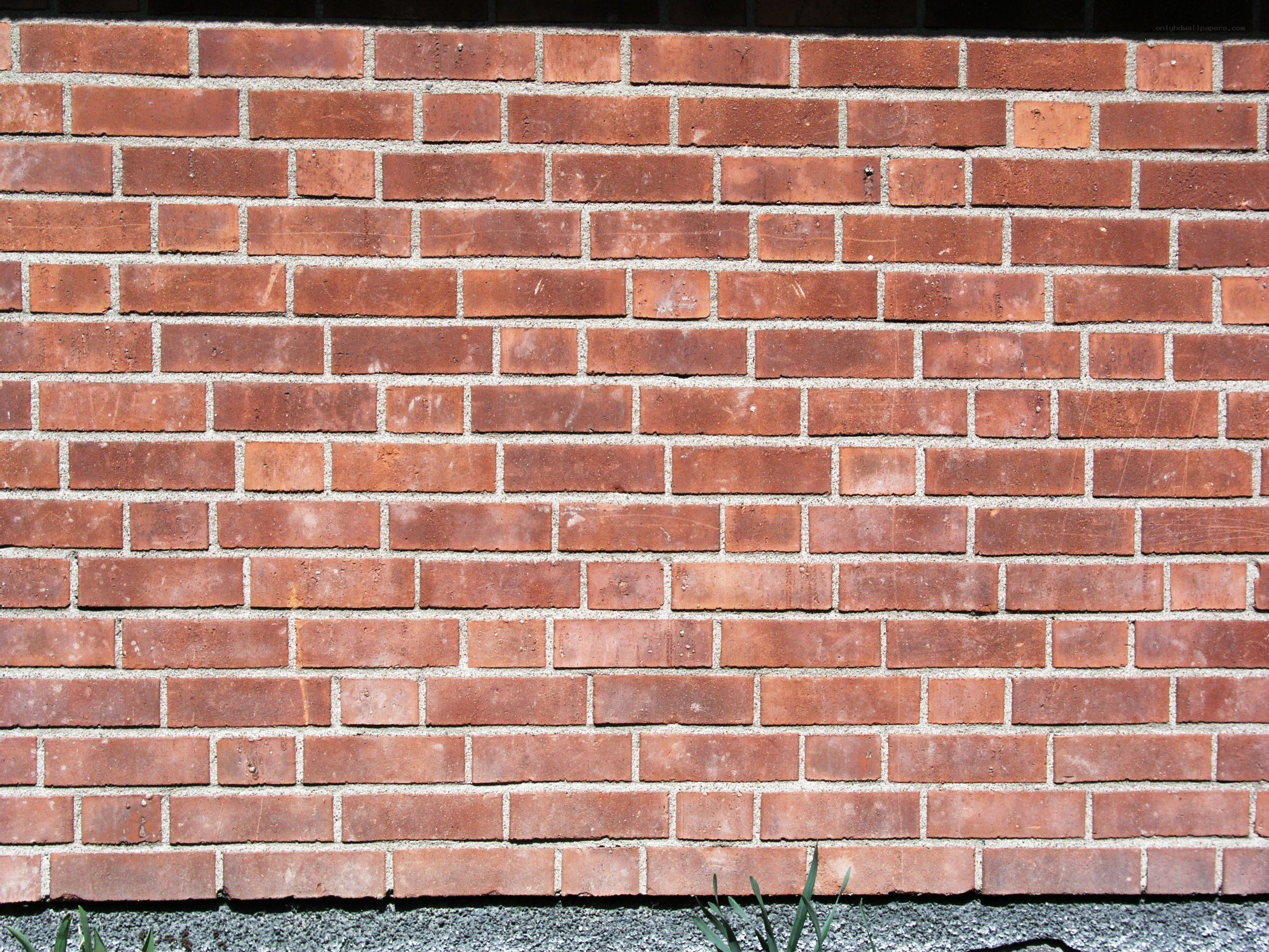 red brick wall texture