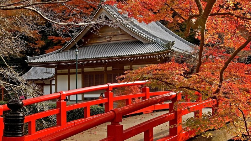 Red Bridge and Temple — Serene, Autumn, Photograph, Maple Trees, People