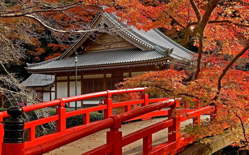 Red Bridge and Temple — Serene, Autumn, Photograph, Maple Trees