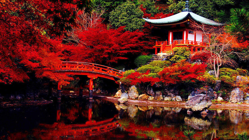 Red Bridge and Temple — Serene, Autumn, Photograph, Trees