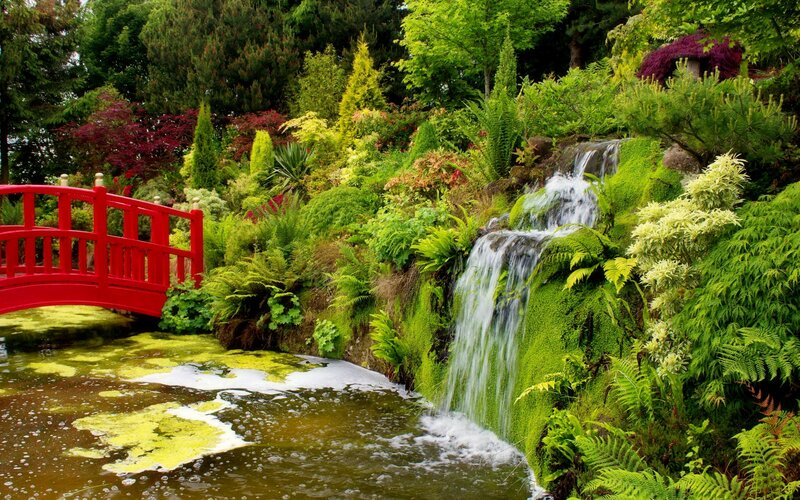 Red Bridge and Waterfall