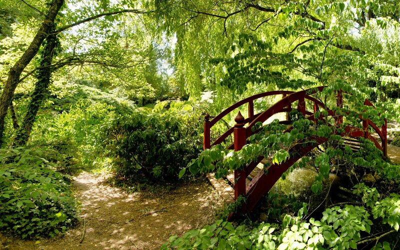 Red bridge in a lush garden