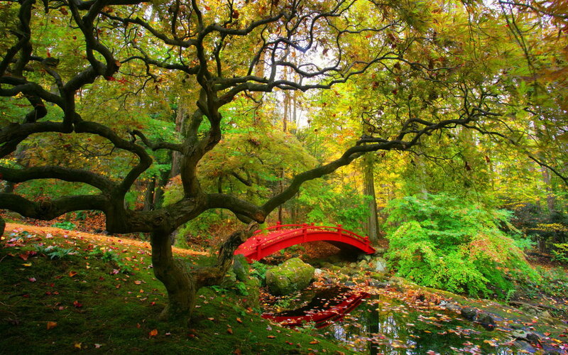 Red bridge in autumn garden