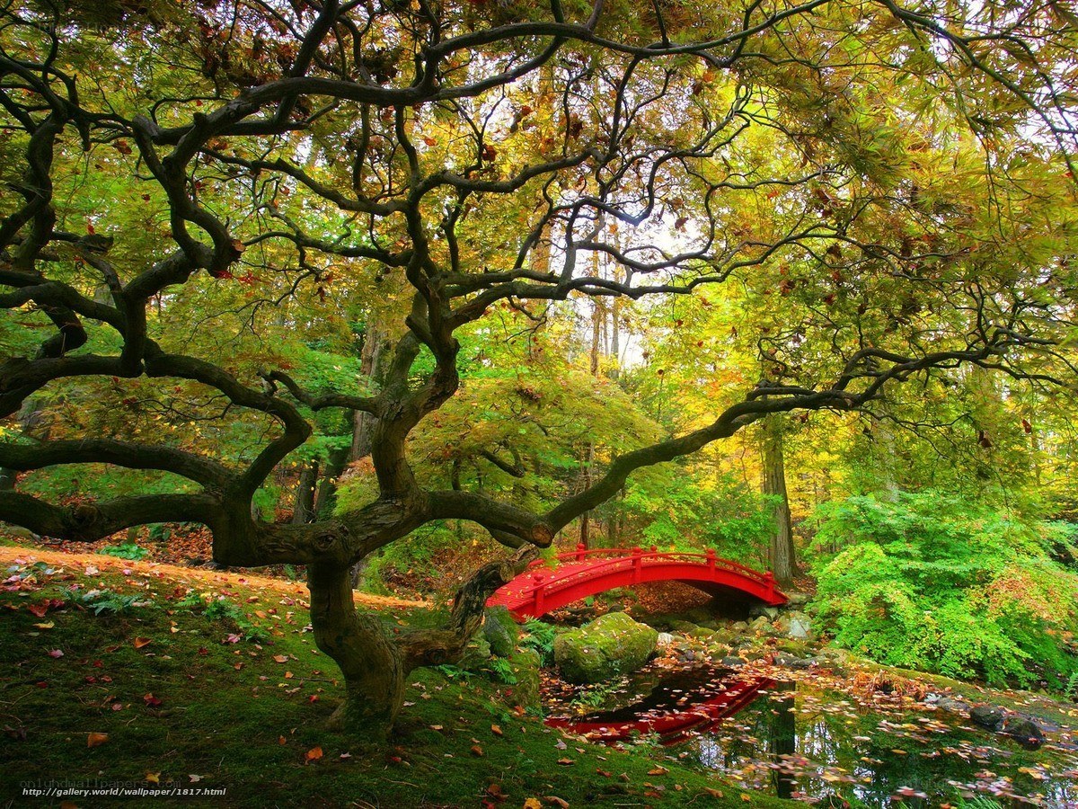 Red bridge in autumn garden
