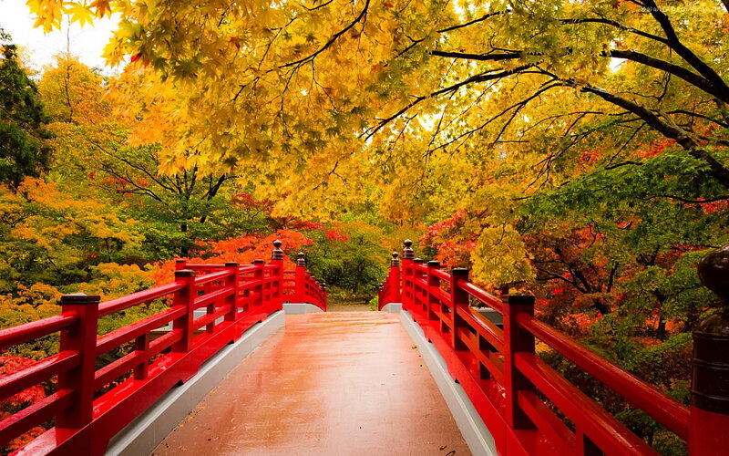 Red Bridge in Autumn — Serene