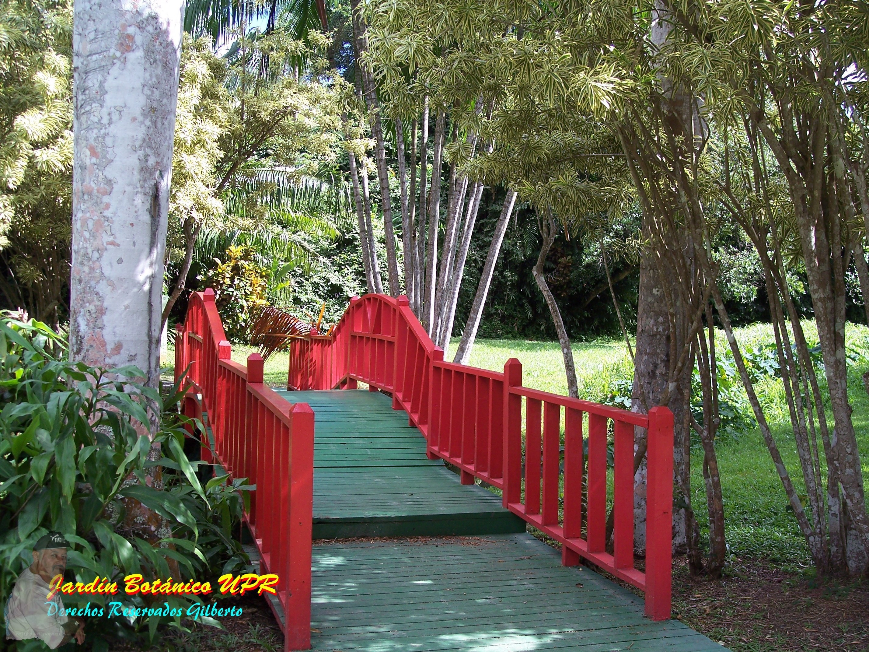 Red bridge in botanical garden