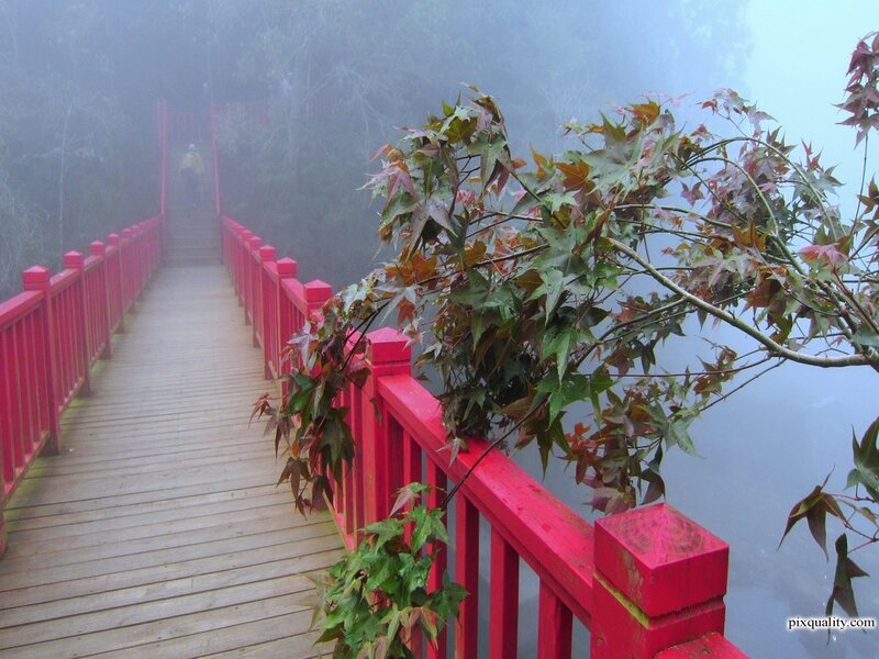 Red Bridge in Fog — Misty