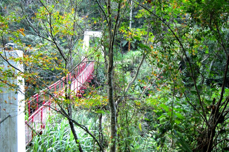Red Bridge in Forest — Green, Natural