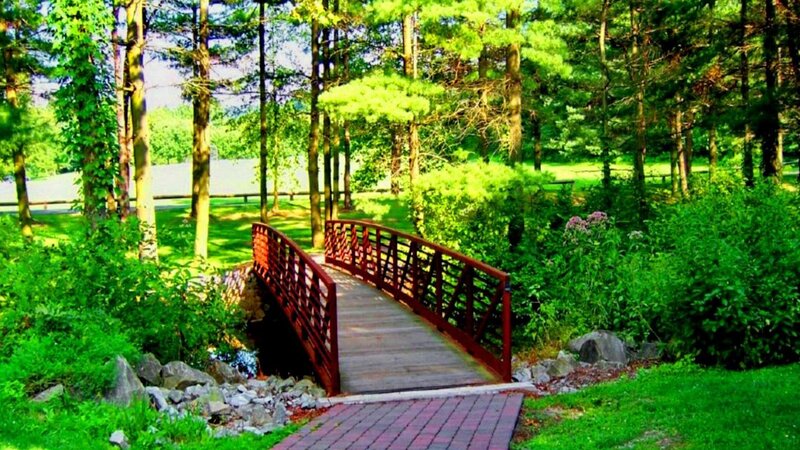 Red Bridge in Forest — Green, Serene, Afternoon, Photograph, Trees, Path