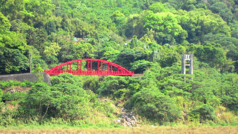 Red Bridge in Forest — Green, Serene, Afternoon