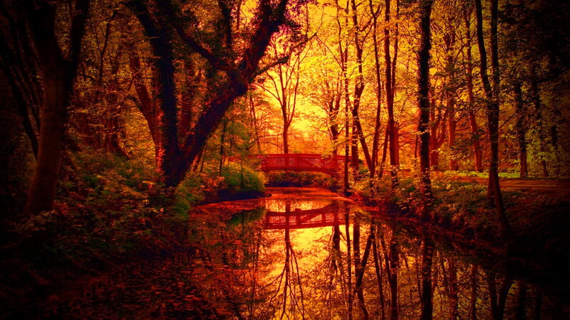 Red Bridge in Forest — Orange, Dramatic