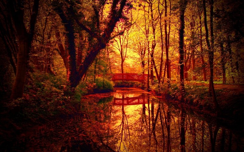 Red Bridge in Forest — Orange, Serene, Sunset, Photograph, River, Trees