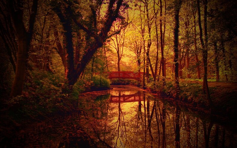 Red Bridge in Forest — Orange, Serene, Sunset, Photograph