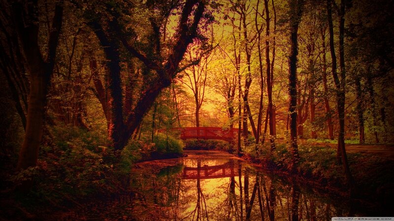 Red Bridge in Forest — Orange, Serene, Sunset