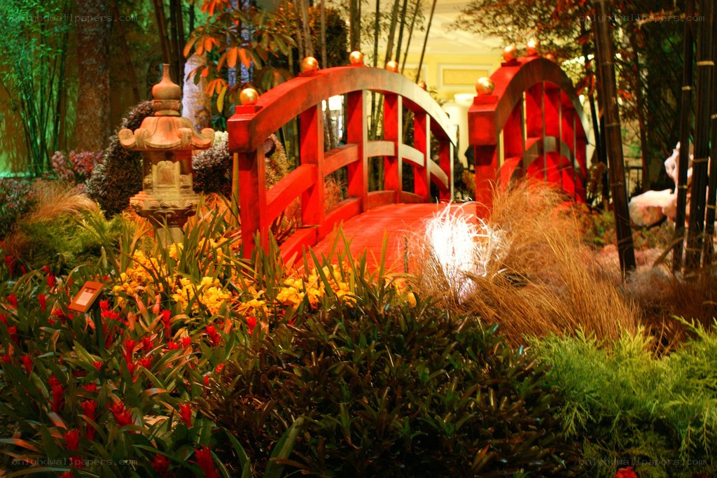 Red bridge in garden display