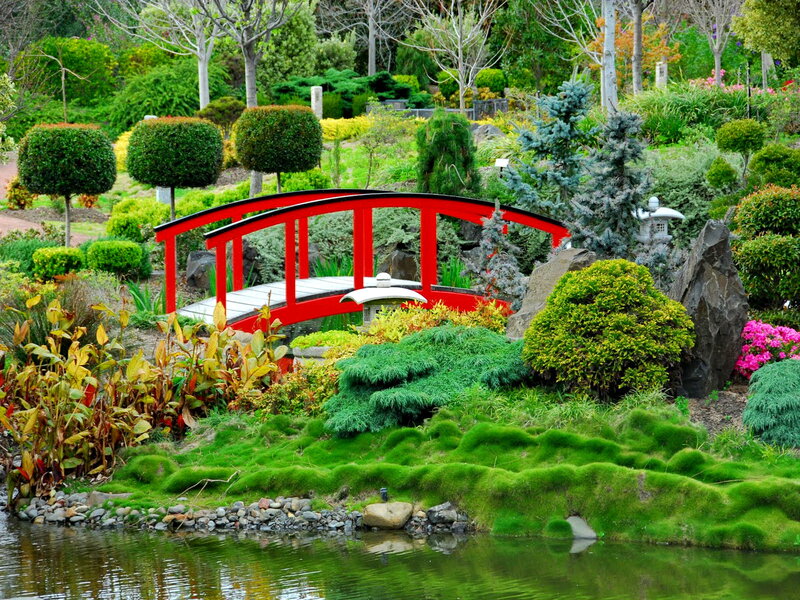 Red Bridge in Garden — Green, Serene, Afternoon, Photograph, Pond