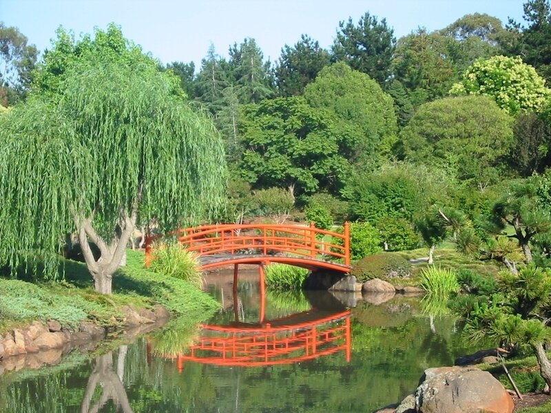 Red Bridge in Garden — Green, Serene, Afternoon, Photograph, Pond, Willow Tree