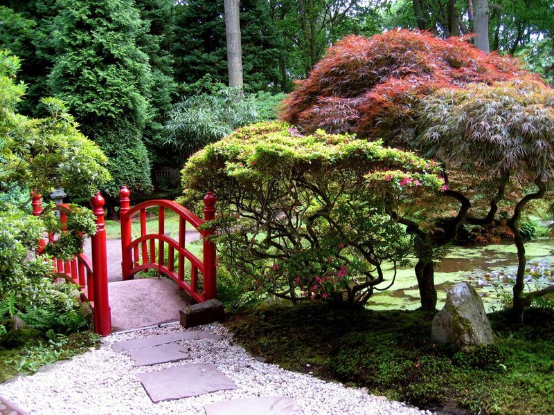Red Bridge in Garden — Green, Serene, Afternoon, Photograph