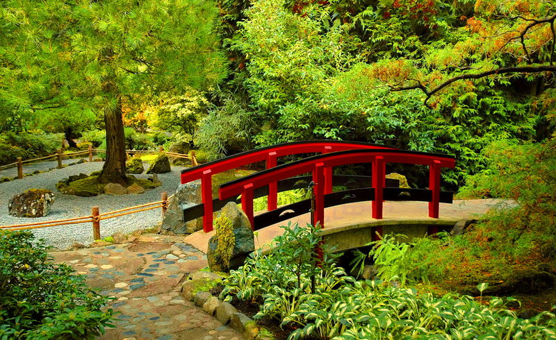 Red Bridge in Garden — Green, Serene, Afternoon, Photograph, Trees