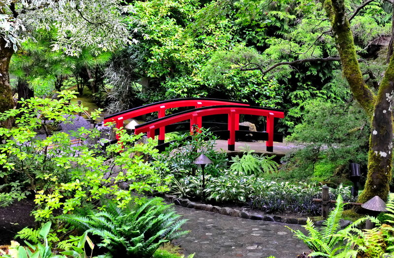 Red Bridge in Garden — Green, Serene, Photograph