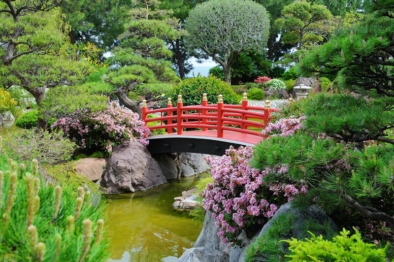 Red Bridge in Garden — Green, Serene, Spring, Photograph, Flowers