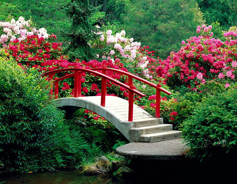 Red Bridge in Garden — Green, Serene, Spring, Photograph