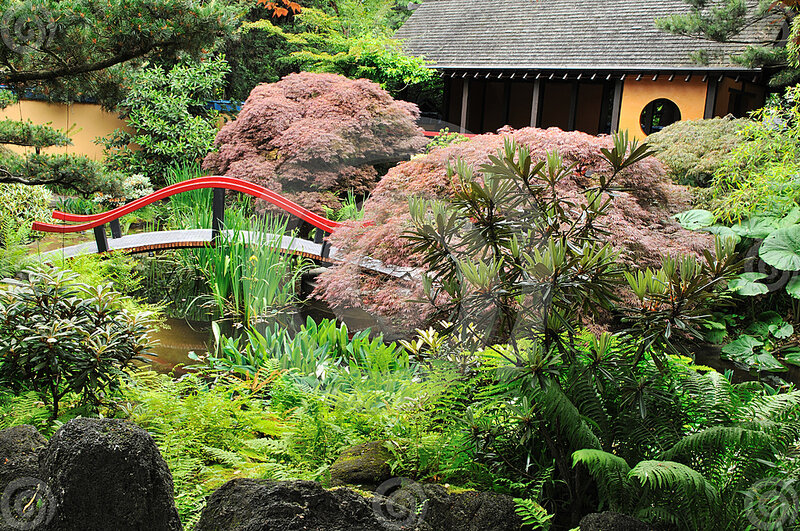 Red Bridge in Garden — Green, Serene