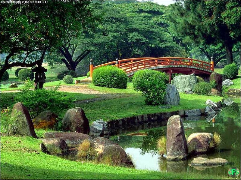 Red Bridge in Garden — Green