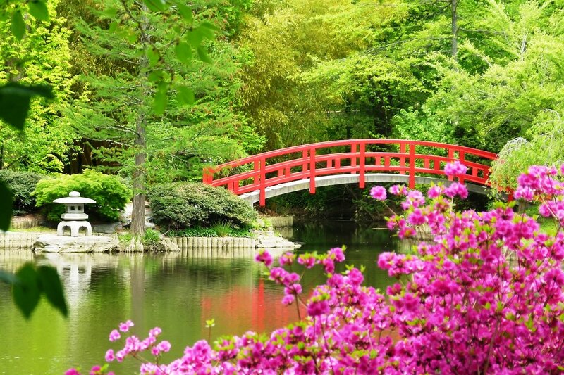 Red Bridge in Garden — Pink