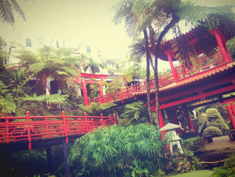 Red Bridge in Garden — Serene, Photograph, Palm Trees