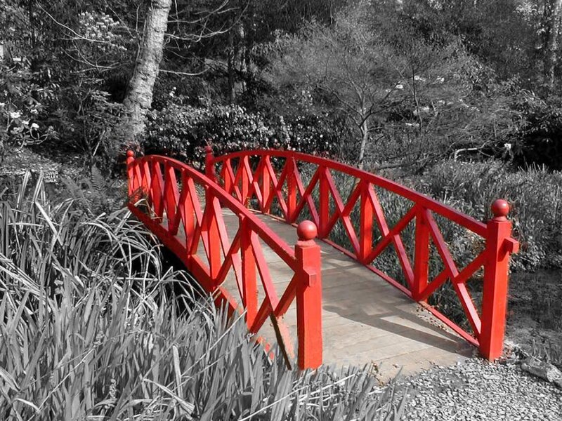 Red Bridge in Garden — Serene, Photograph