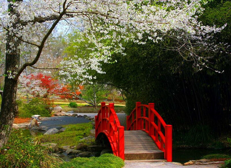 Red Bridge in Garden — Serene, Spring, Photograph