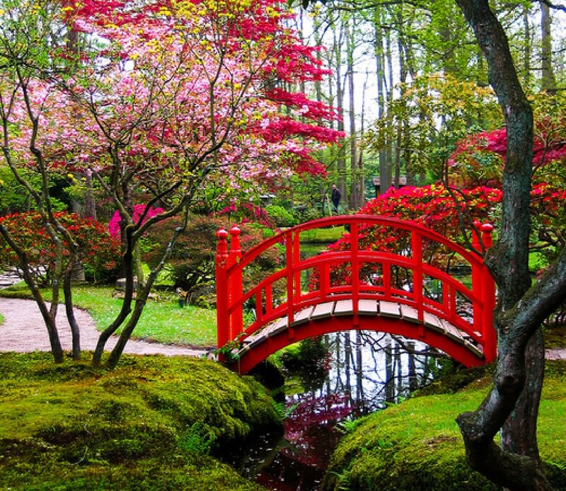 Red Bridge in Garden — Serene, Spring, Photograph, Trees, Moss