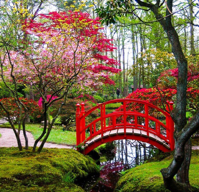 Red Bridge in Garden — Serene, Spring, Photograph, Trees