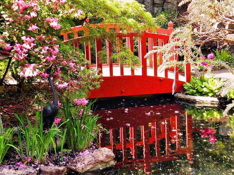 Red Bridge in Garden — Serene, Spring