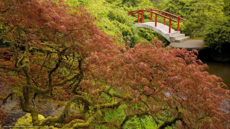 Red Bridge in Garden