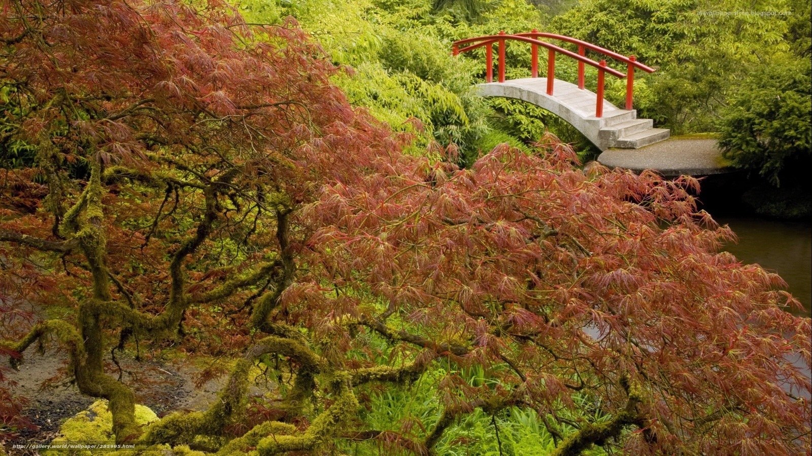 Red Bridge in Garden