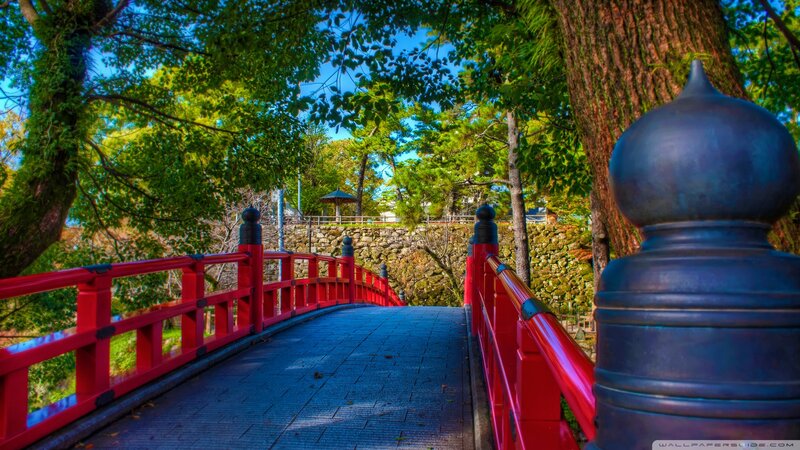 Red Bridge in Park