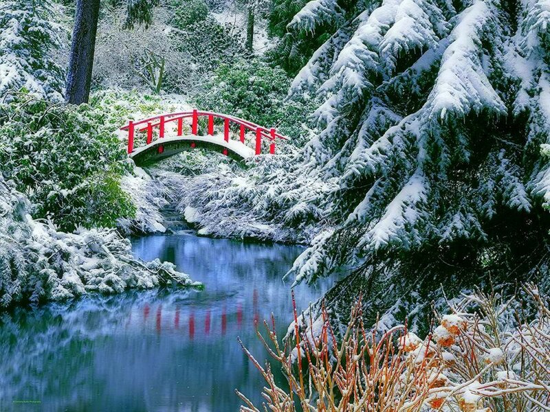 Red Bridge in Snow — Blue