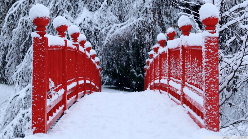 Red Bridge in Snow — Serene, Winter, Photograph, Trees, Fence
