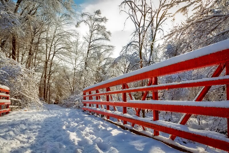 Red Bridge in Snow — Serene, Winter, Photograph, Trees, Sunlight