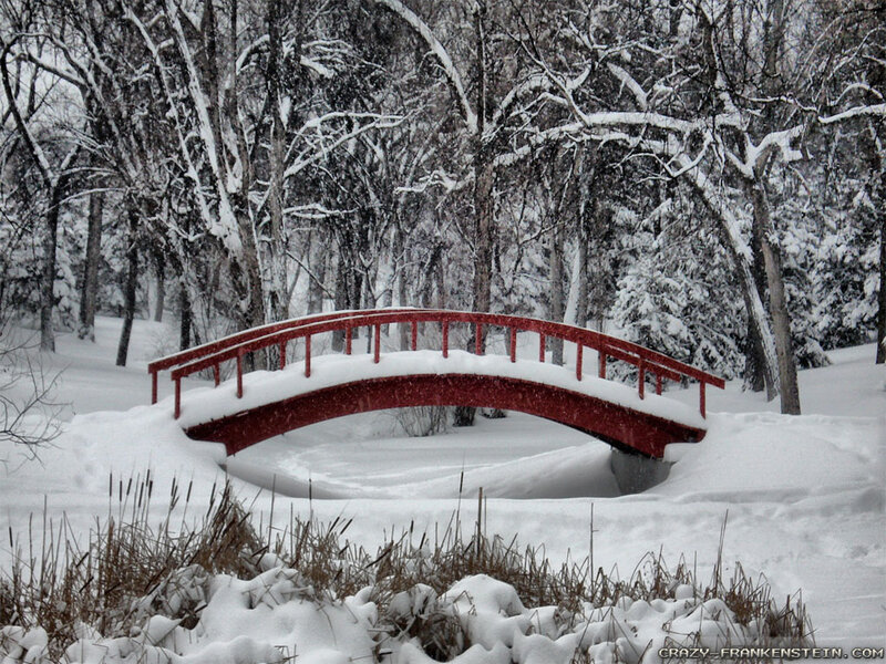Red Bridge in Snow — Serene, Winter, Photograph, Trees
