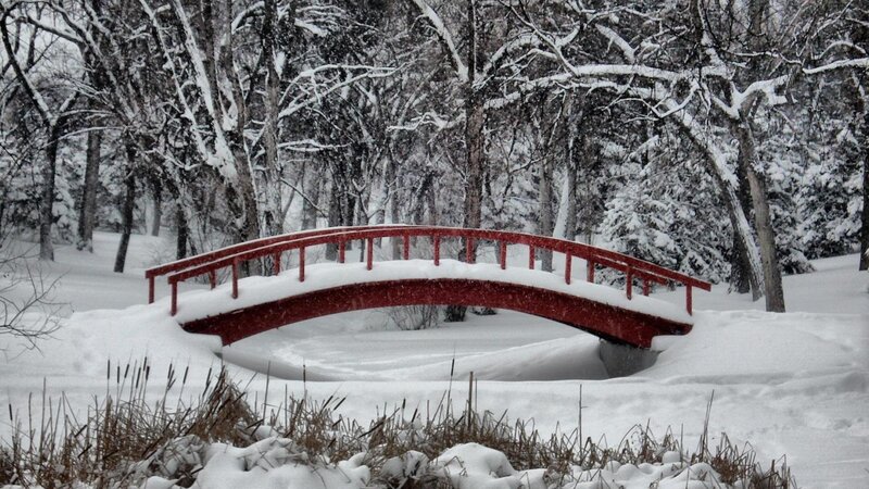 Red Bridge in Snow — White, Serene