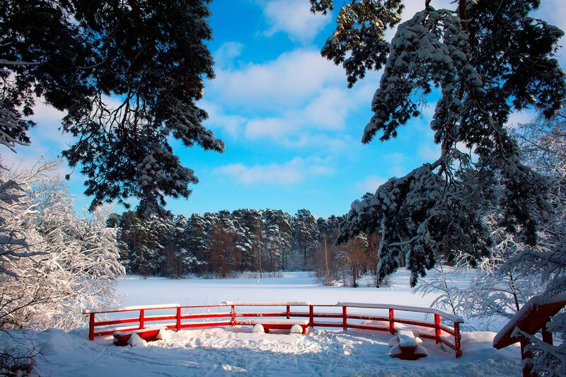 Red Bridge in Snow — White, Serene, Winter, Photograph, Trees, Bench