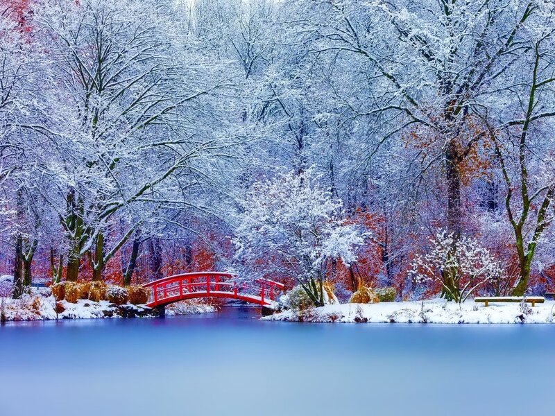 Red Bridge in Snow — White, Serene, Winter, Photograph, Trees, River