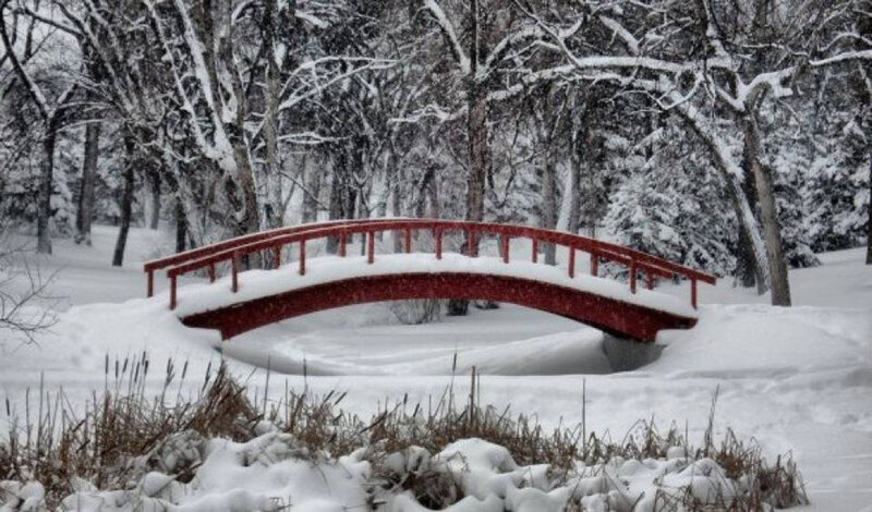 Red Bridge in Snow — White, Serene, Winter, Photograph, Trees