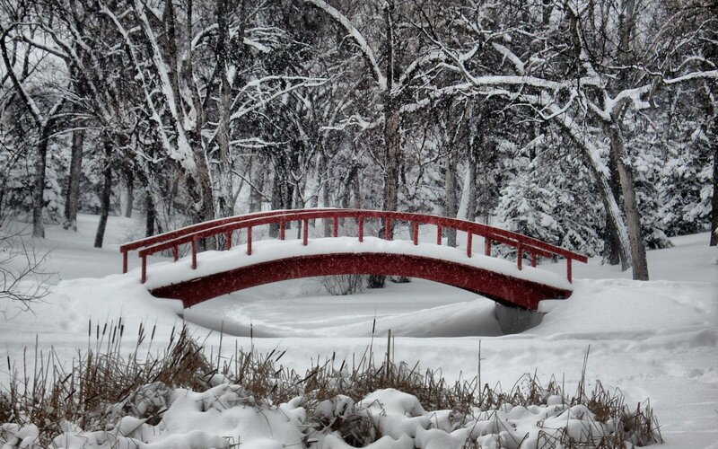 Red Bridge in Snow — White