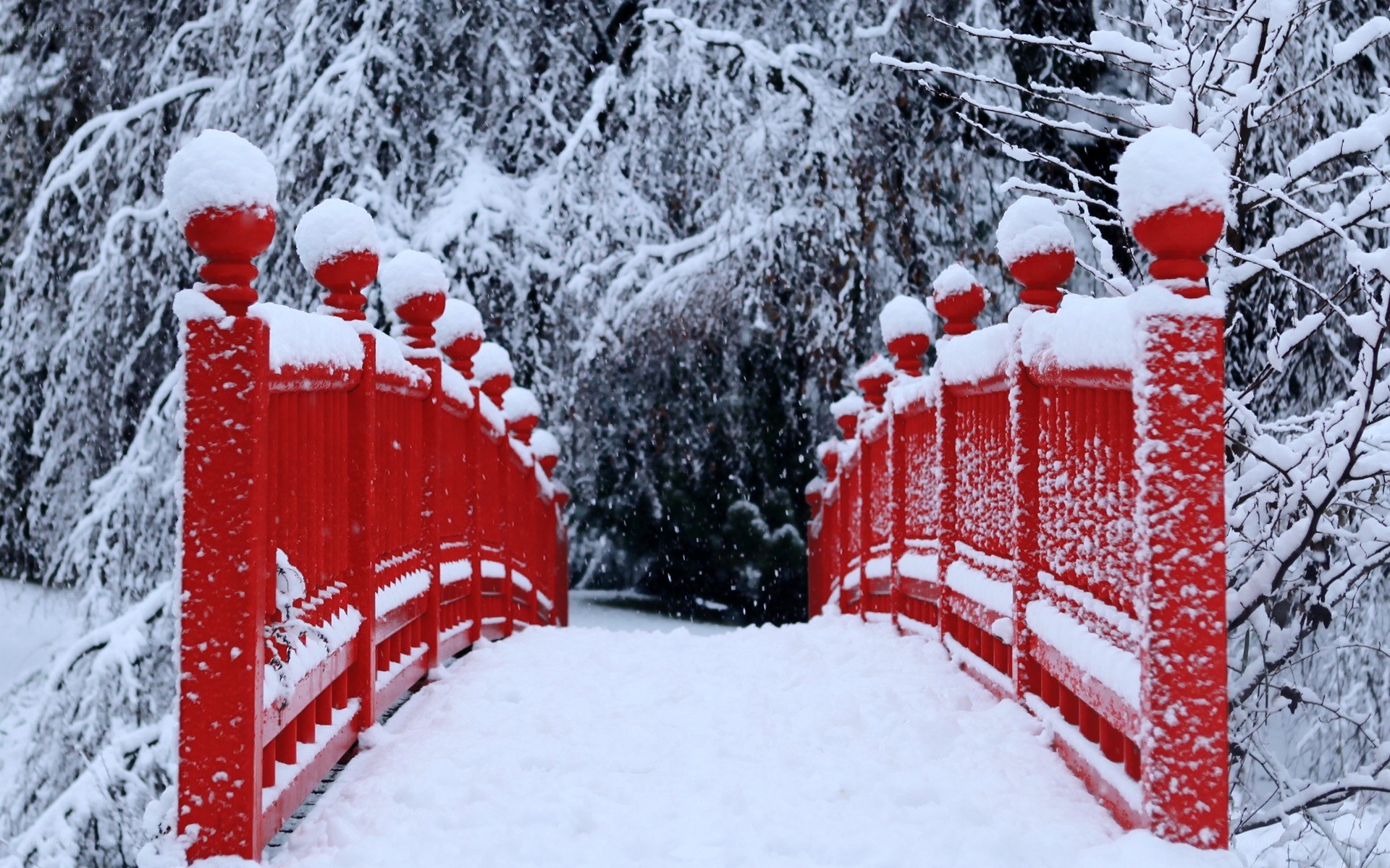 Red bridge in snowy forest