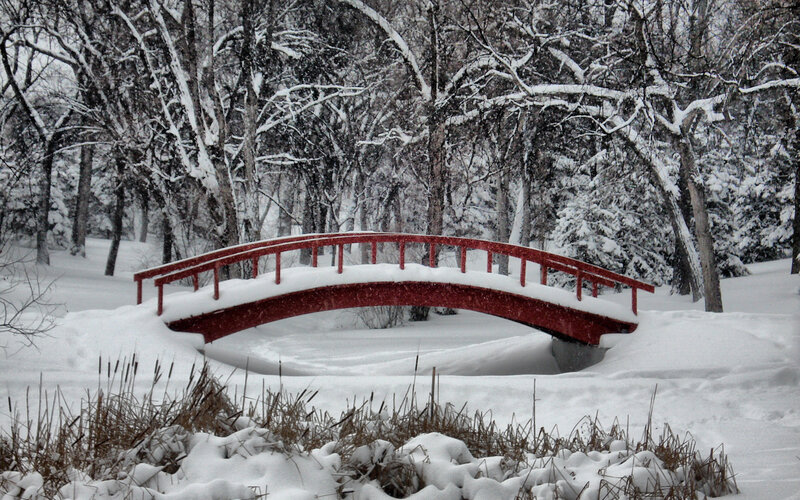 Red bridge in snowy forest